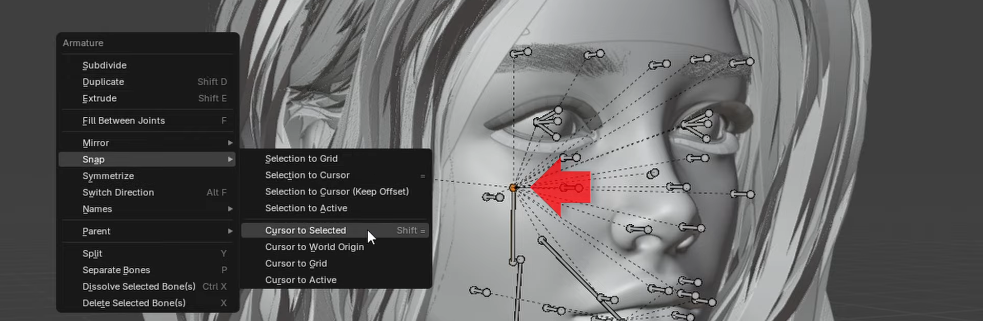 HairRig