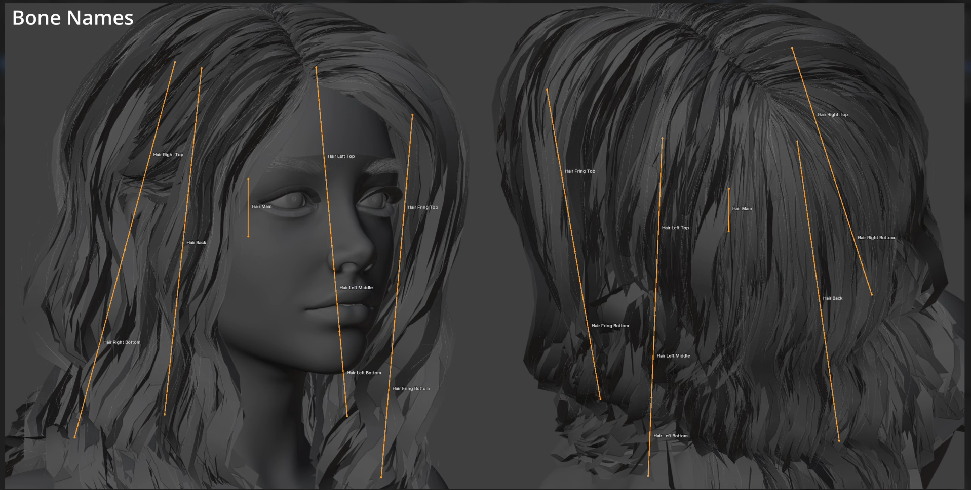 HairRig