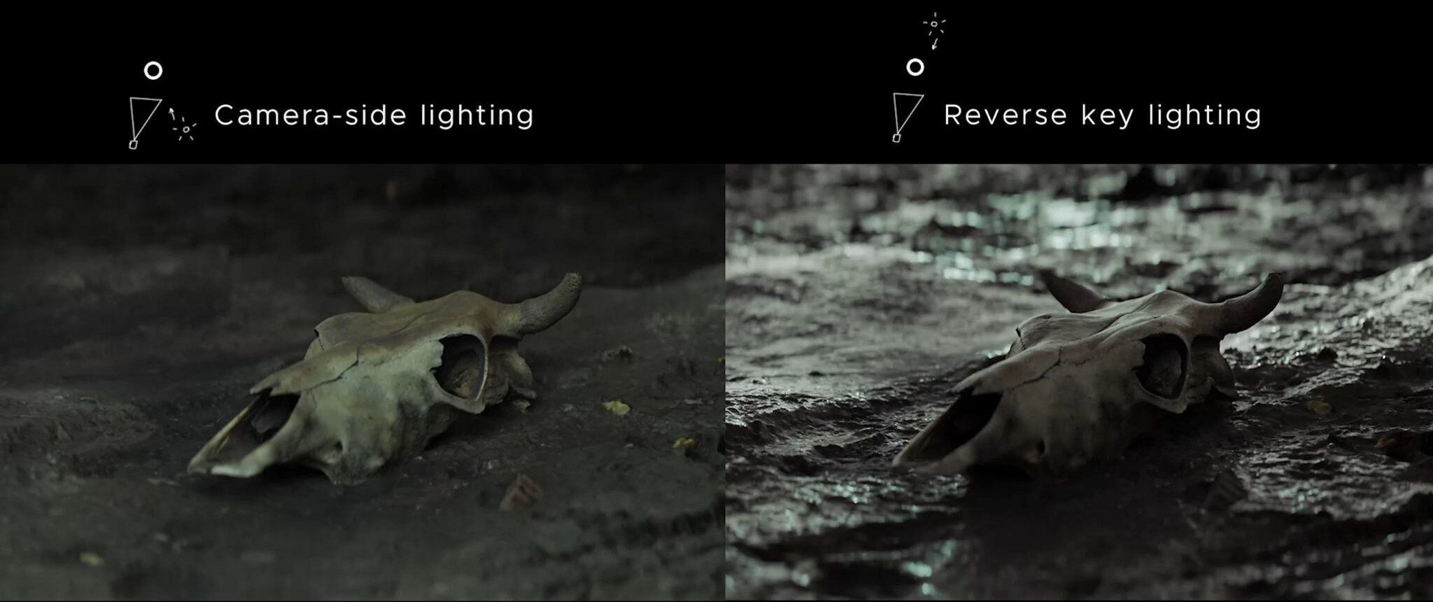 ReverseKeyLight