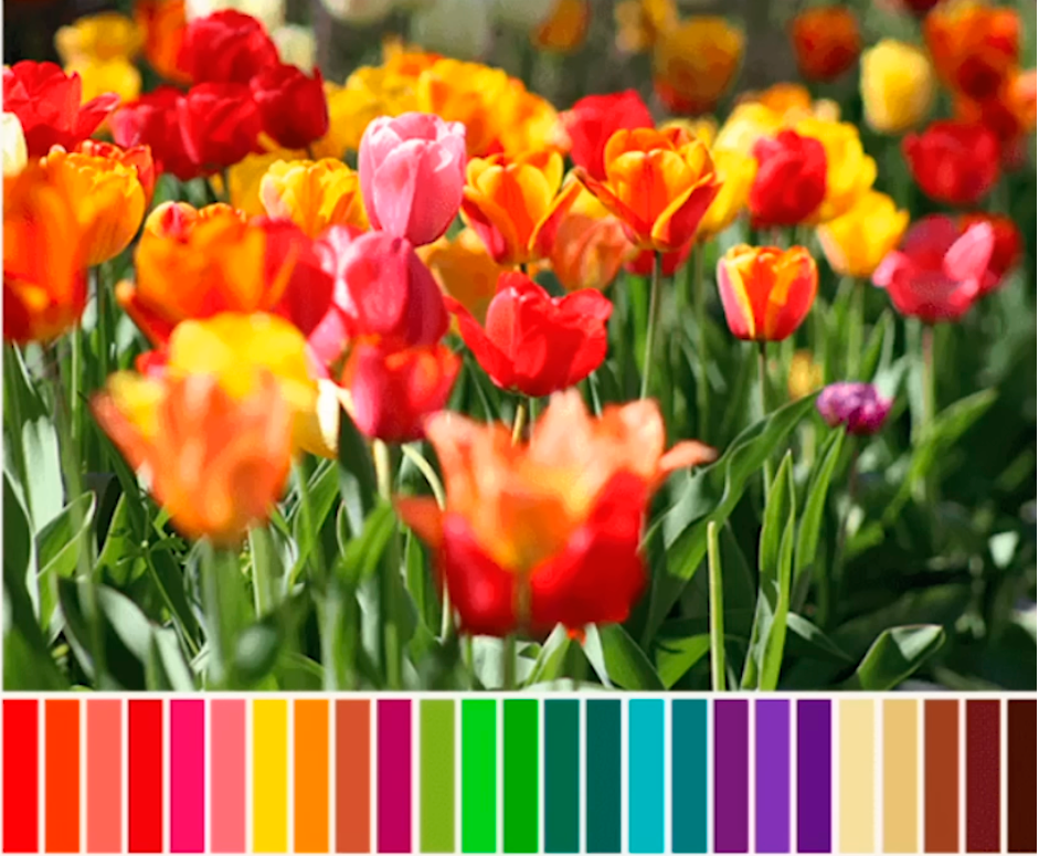 Season Colors
