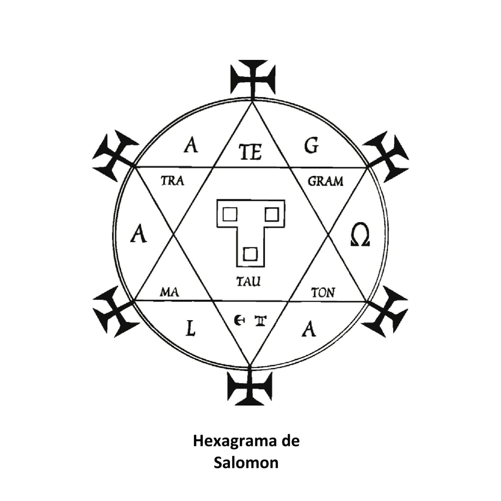 CapasPiel1