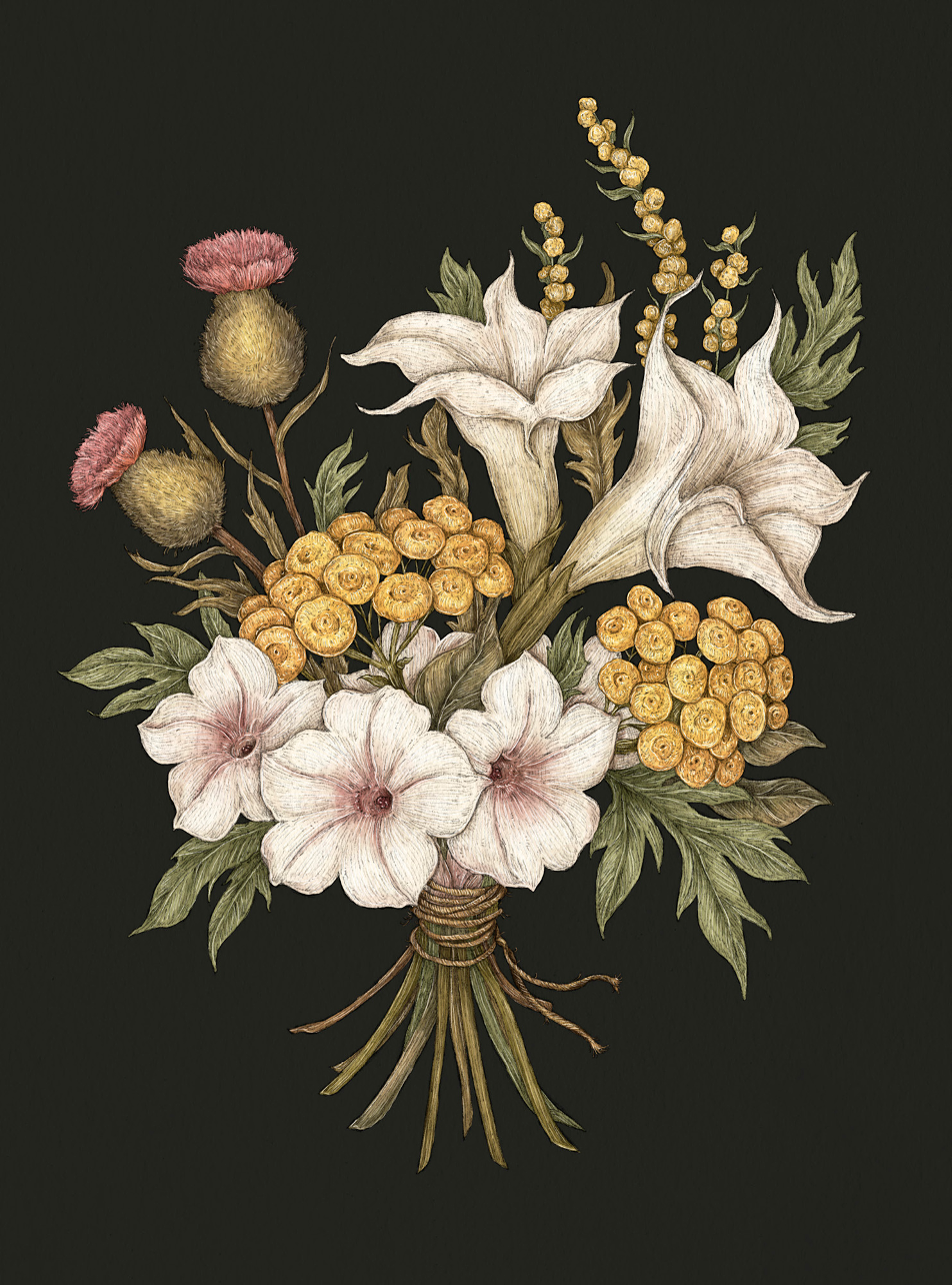 Apple Blossom – Malus