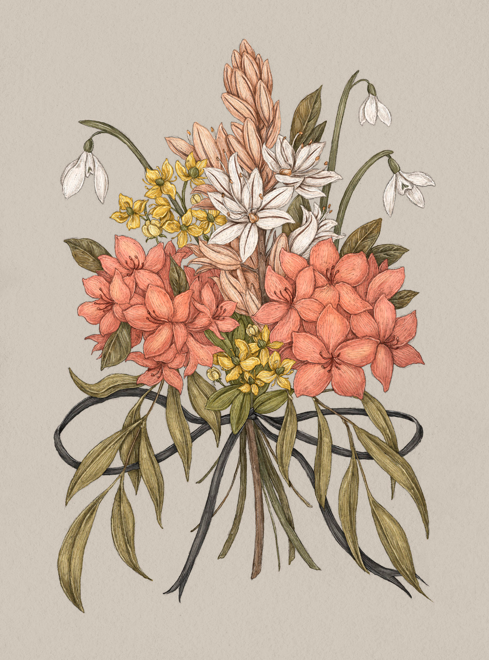 Apple Blossom – Malus
